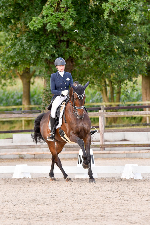 Klein Offenseth Dressur  1.8.2021 | 01082021 Dressur  KL S +_375 
