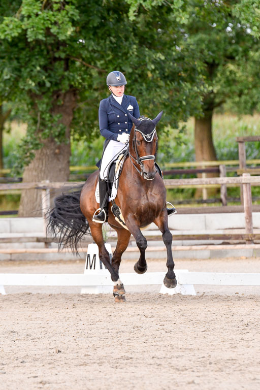 Klein Offenseth Dressur  1.8.2021 | 01082021 Dressur  KL S +_376 