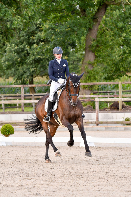 Klein Offenseth Dressur  1.8.2021 | 01082021 Dressur  KL S +_378 