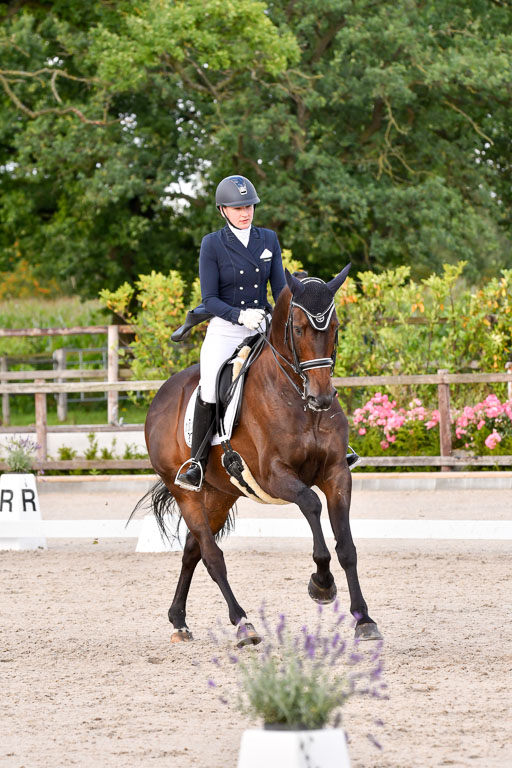 Klein Offenseth Dressur  1.8.2021 | 01082021 Dressur  KL S +_380 
