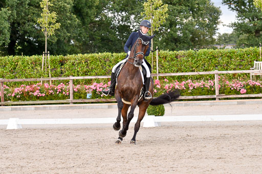 Klein Offenseth Dressur  1.8.2021 | 01082021 Dressur  KL S +_384 