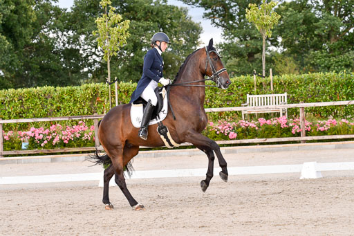 Klein Offenseth Dressur  1.8.2021 | 01082021 Dressur  KL S +_385 