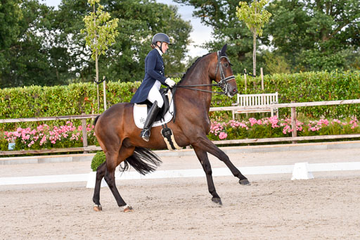 Klein Offenseth Dressur  1.8.2021 | 01082021 Dressur  KL S +_386 