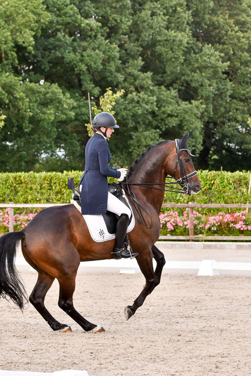 Klein Offenseth Dressur  1.8.2021 | 01082021 Dressur  KL S +_388 