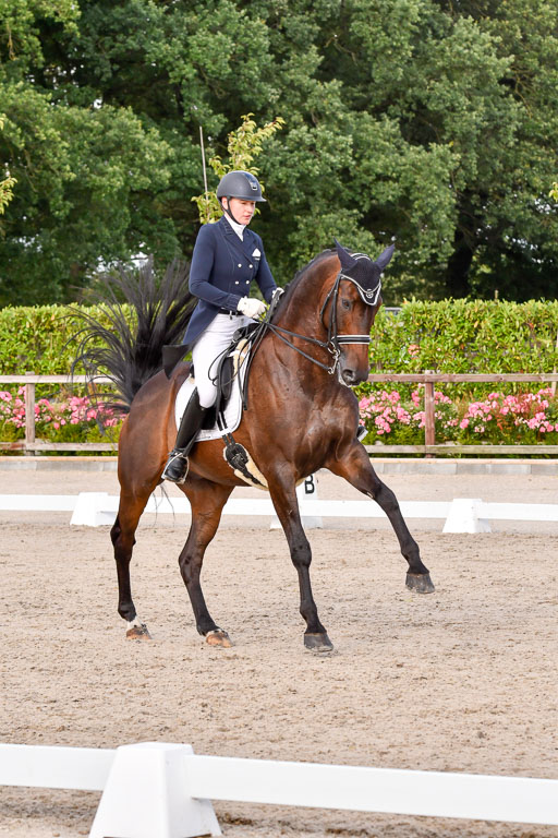 Klein Offenseth Dressur  1.8.2021 | 01082021 Dressur  KL S +_395 