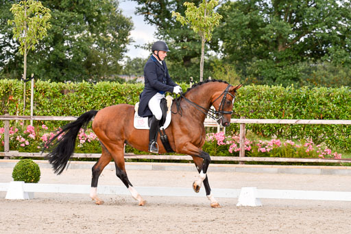 Klein Offenseth Dressur  1.8.2021 | 01082021 Dressur  KL S +_399 