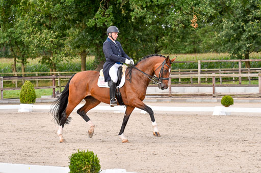 Klein Offenseth Dressur  1.8.2021 | 01082021 Dressur  KL S +_401 