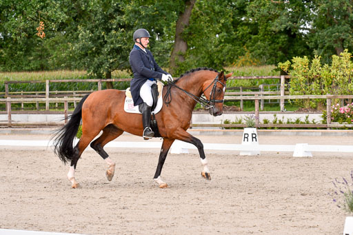 Klein Offenseth Dressur  1.8.2021 | 01082021 Dressur  KL S +_402 