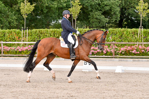 Klein Offenseth Dressur  1.8.2021 | 01082021 Dressur  KL S +_404 