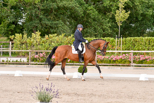 Klein Offenseth Dressur  1.8.2021 | 01082021 Dressur  KL S +_411 