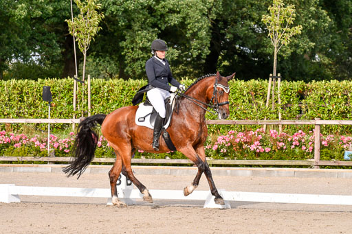 Klein Offenseth Dressur  1.8.2021 | 01082021 Dressur  KL S +_430 