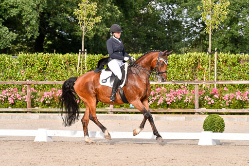 Klein Offenseth Dressur  1.8.2021 | 01082021 Dressur  KL S +_431 