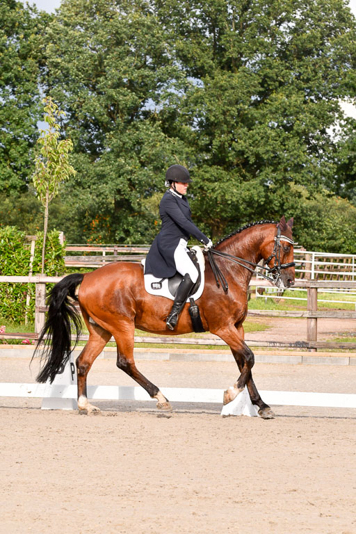 Klein Offenseth Dressur  1.8.2021 | 01082021 Dressur  KL S +_433 