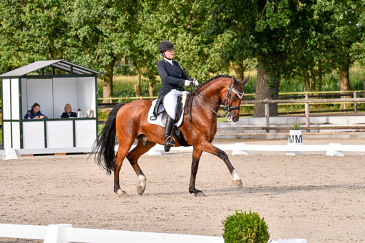 Klein Offenseth Dressur  1.8.2021 | 01082021 Dressur  KL S +_435 