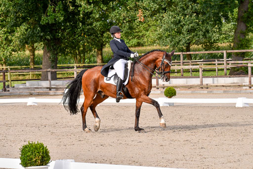 Klein Offenseth Dressur  1.8.2021 | 01082021 Dressur  KL S +_436 