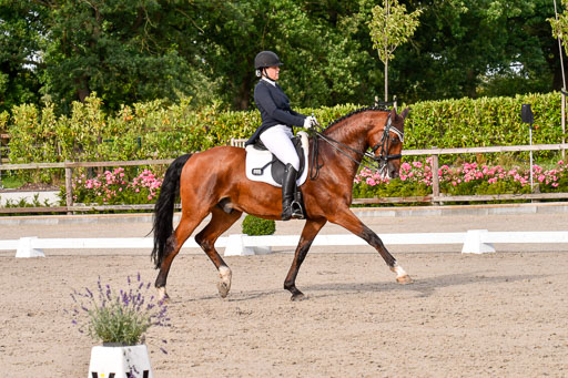 Klein Offenseth Dressur  1.8.2021 | 01082021 Dressur  KL S +_437 