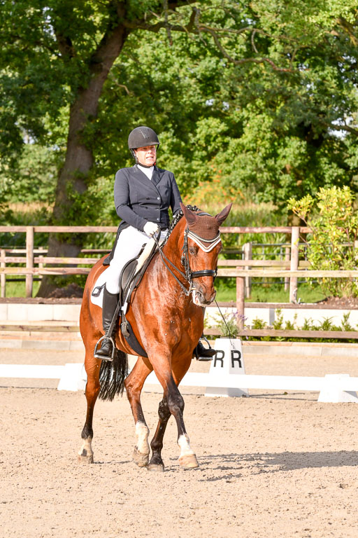 Klein Offenseth Dressur  1.8.2021 | 01082021 Dressur  KL S +_439 