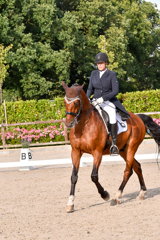 Klein Offenseth Dressur  1.8.2021 | 01082021 Dressur  KL S +_444 