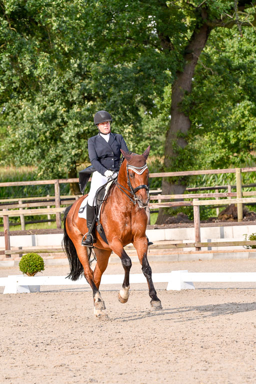 Klein Offenseth Dressur  1.8.2021 | 01082021 Dressur  KL S +_446 