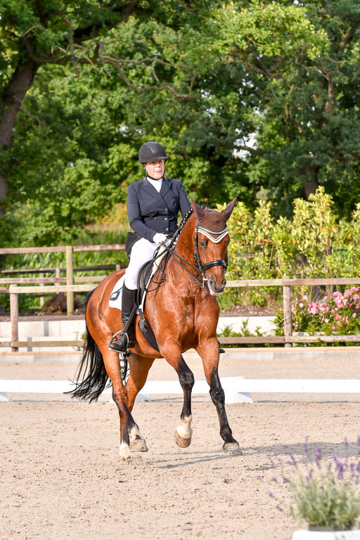 Klein Offenseth Dressur  1.8.2021 | 01082021 Dressur  KL S +_448 