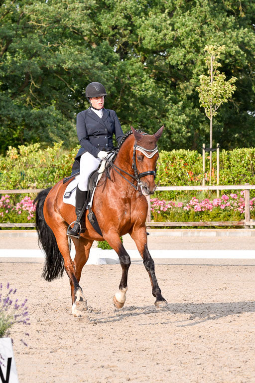 Klein Offenseth Dressur  1.8.2021 | 01082021 Dressur  KL S +_450 