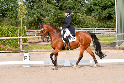 Klein Offenseth Dressur  1.8.2021 | 01082021 Dressur  KL S +_452 