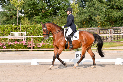 Klein Offenseth Dressur  1.8.2021 | 01082021 Dressur  KL S +_453 