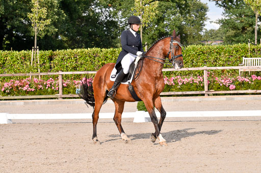 Klein Offenseth Dressur  1.8.2021 | 01082021 Dressur  KL S +_455 