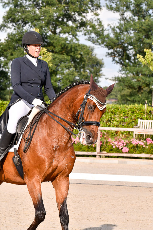 Klein Offenseth Dressur  1.8.2021 | 01082021 Dressur  KL S +_457 