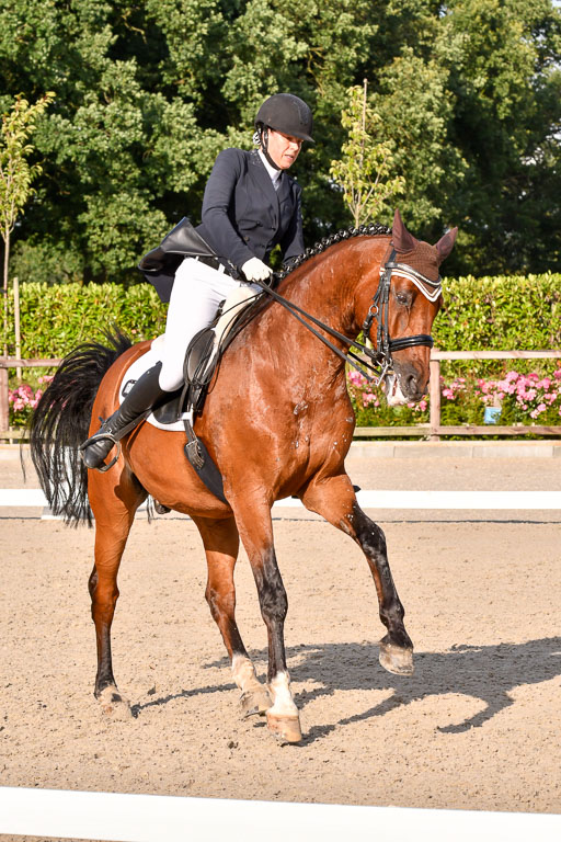 Klein Offenseth Dressur  1.8.2021 | 01082021 Dressur  KL S +_459 