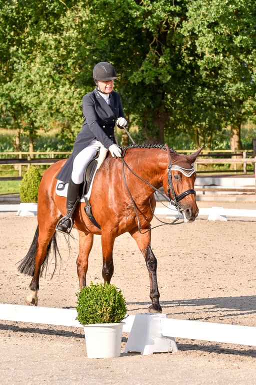 Klein Offenseth Dressur  1.8.2021 | 01082021 Dressur  KL S +_460 