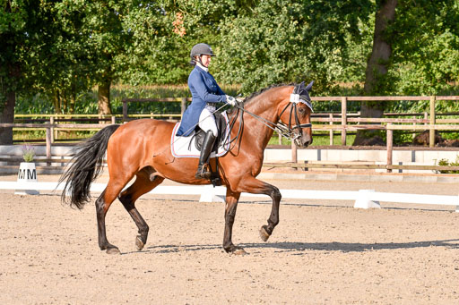 Klein Offenseth Dressur  1.8.2021 | 01082021 Dressur  KL S +_468 