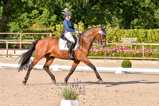 Klein Offenseth Dressur  1.8.2021 | 01082021 Dressur  KL S +_469 