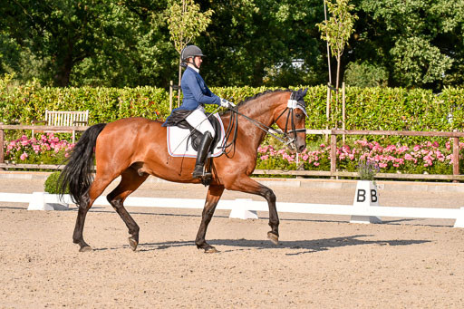 Klein Offenseth Dressur  1.8.2021 | 01082021 Dressur  KL S +_470 