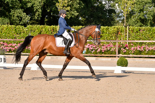 Klein Offenseth Dressur  1.8.2021 | 01082021 Dressur  KL S +_471 