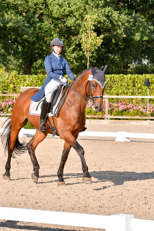 Klein Offenseth Dressur  1.8.2021 | 01082021 Dressur  KL S +_473 