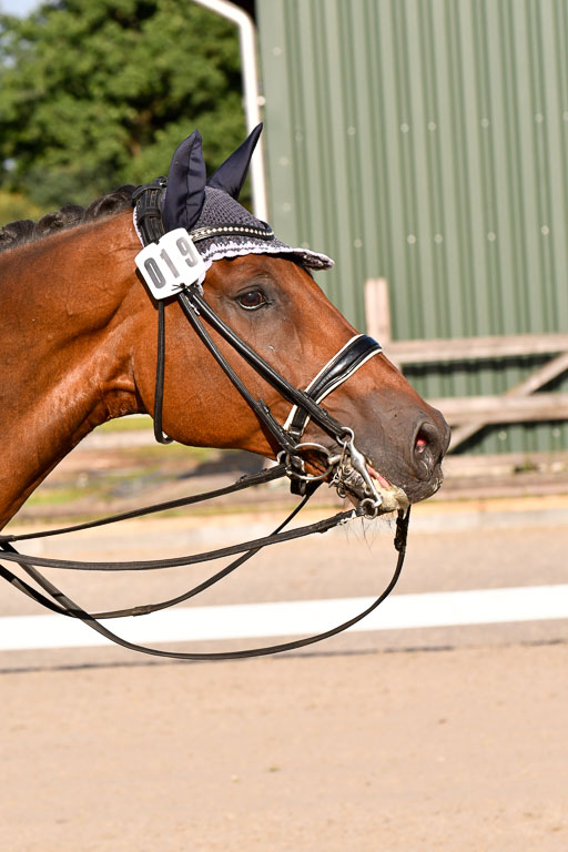 Klein Offenseth Dressur  1.8.2021 | 01082021 Dressur  KL S +_486 