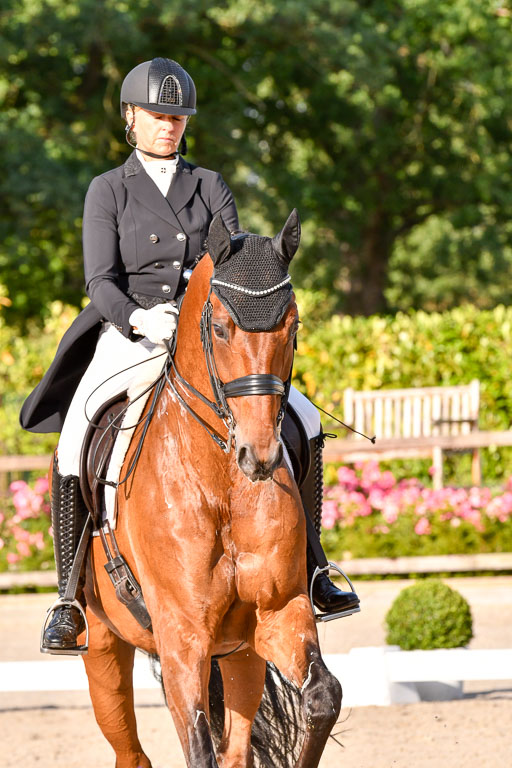 Klein Offenseth Dressur  1.8.2021 | 01082021 Dressur  KL S +_489 