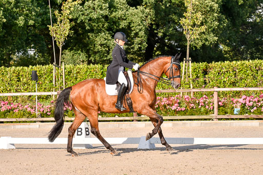 Klein Offenseth Dressur  1.8.2021 | 01082021 Dressur  KL S +_490 