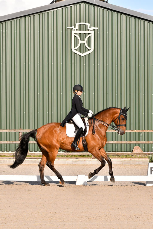 Klein Offenseth Dressur  1.8.2021 | 01082021 Dressur  KL S +_492 