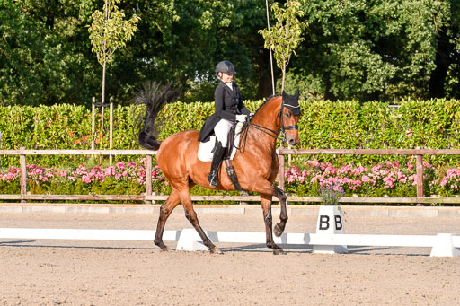 Klein Offenseth Dressur  1.8.2021 | 01082021 Dressur  KL S +_493 