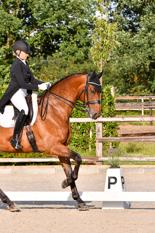 Klein Offenseth Dressur  1.8.2021 | 01082021 Dressur  KL S +_494 