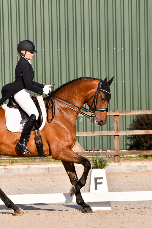 Klein Offenseth Dressur  1.8.2021 | 01082021 Dressur  KL S +_495 