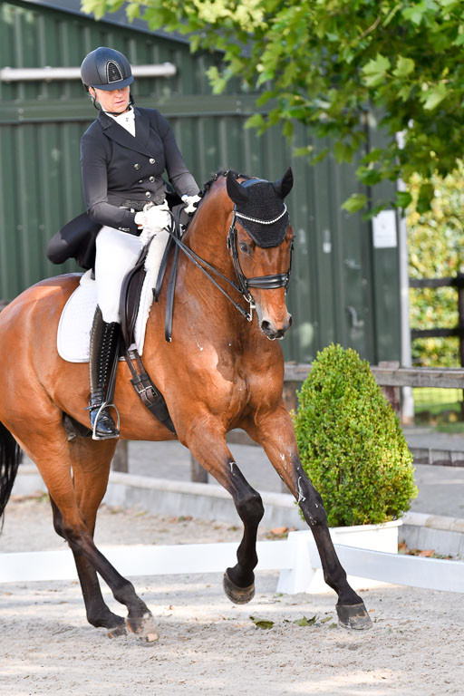 Klein Offenseth Dressur  1.8.2021 | 01082021 Dressur  KL S +_496 