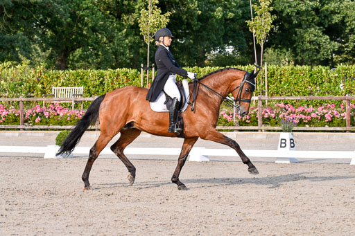 Klein Offenseth Dressur  1.8.2021 | 01082021 Dressur  KL S +_499 