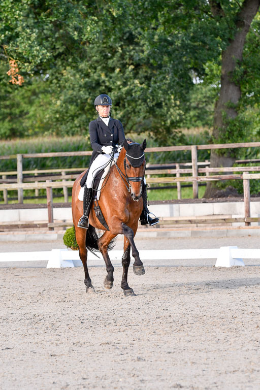 Klein Offenseth Dressur  1.8.2021 | 01082021 Dressur  KL S +_501 