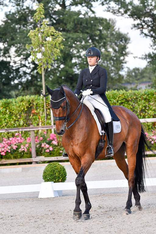 Klein Offenseth Dressur  1.8.2021 | 01082021 Dressur  KL S +_508 
