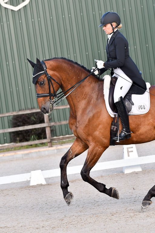 Klein Offenseth Dressur  1.8.2021 | 01082021 Dressur  KL S +_512 
