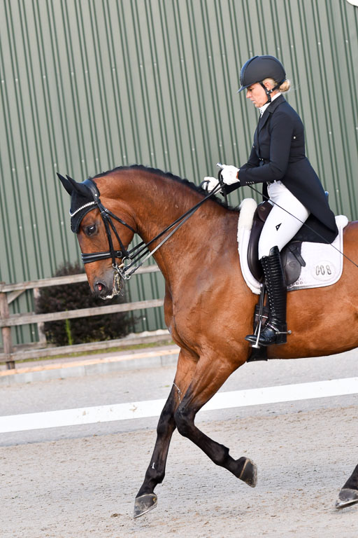 Klein Offenseth Dressur  1.8.2021 | 01082021 Dressur  KL S +_513 
