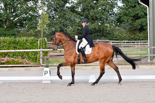 Klein Offenseth Dressur  1.8.2021 | 01082021 Dressur  KL S +_517 